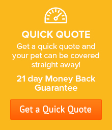 Get a Quick Quote