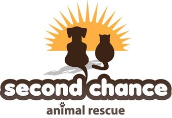 animal rescue