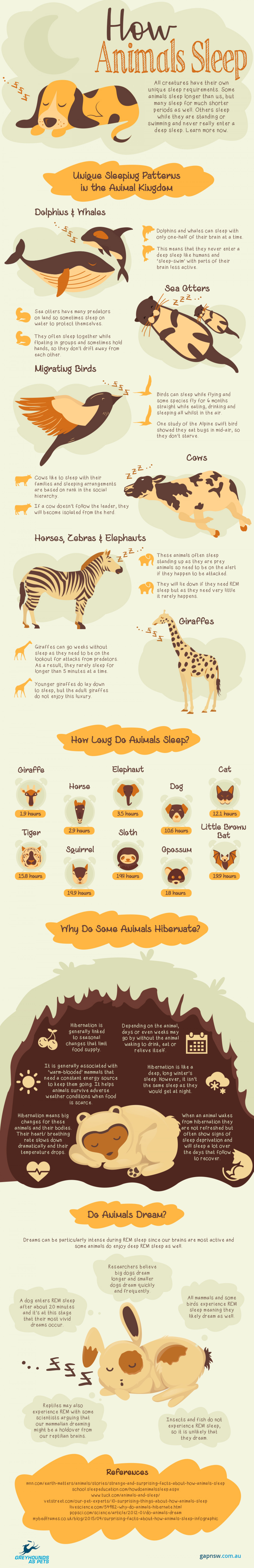 Animal sleeping habits