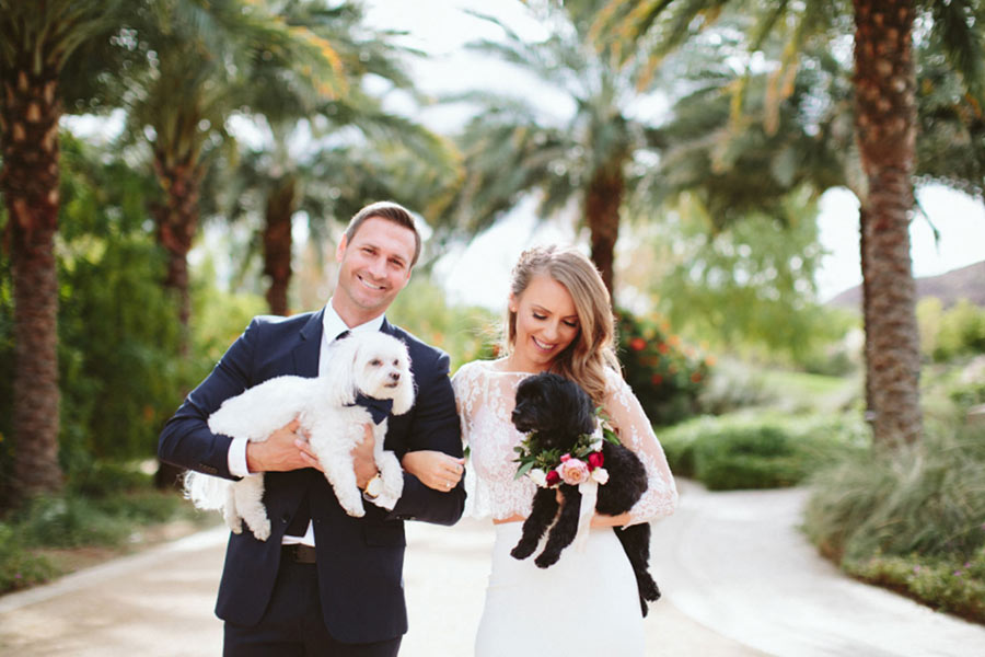 bride and groom each holding a dog
