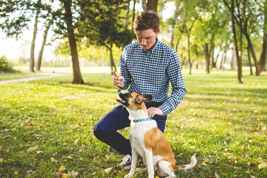 young man training his dog in the park