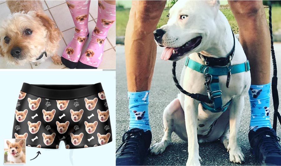 pet socks and boxers, gifts for pet lovers