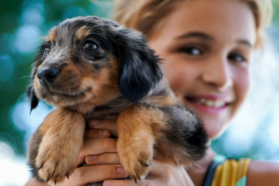 Little girl holding a puppy