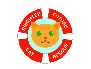 Brighter Future Cat Rescue