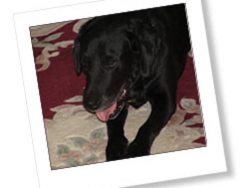 Cooper’s recovering well