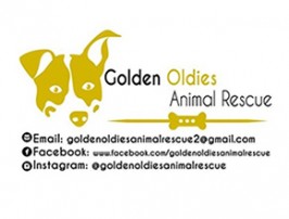 Golden Oldies Animal Rescue