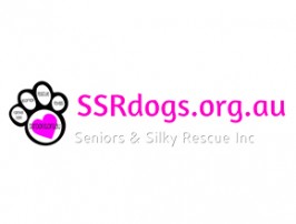 Seniors and Silkies Rescue