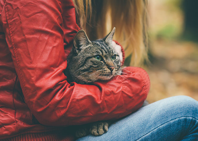 shutterstock_226834810