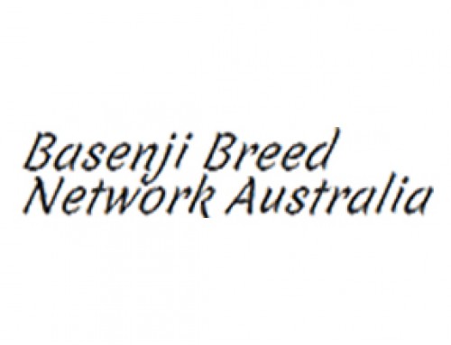 Basenji Breed Network