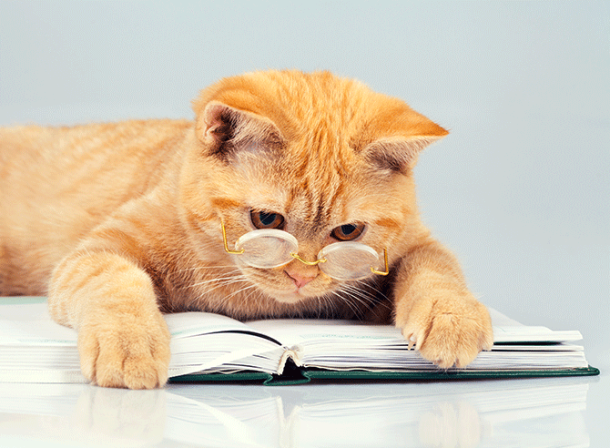 15 Great Books About Animals - PetSecure