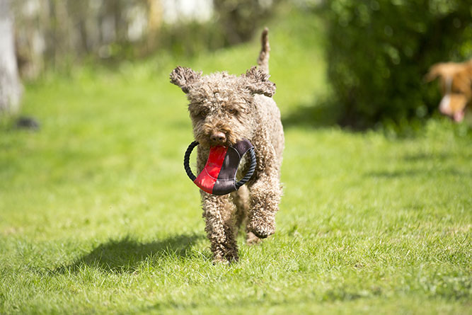 shutterstock_281123870