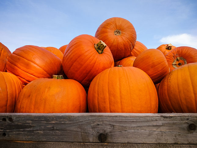 shutterstock_316621739