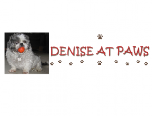 Denise at Paws