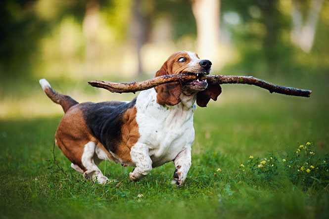 shutterstock_136491419