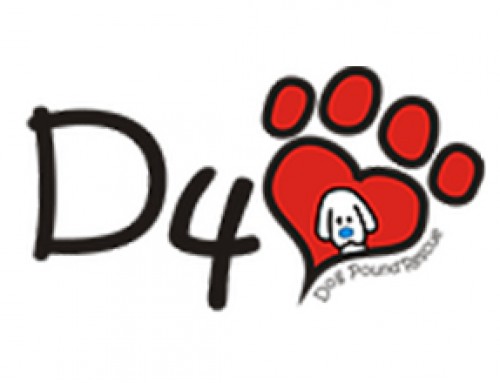 D4 – Desperate for Love Dog Pound Rescue