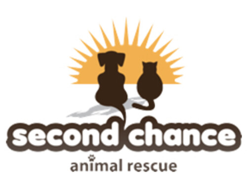 Second Chance Animal Rescue