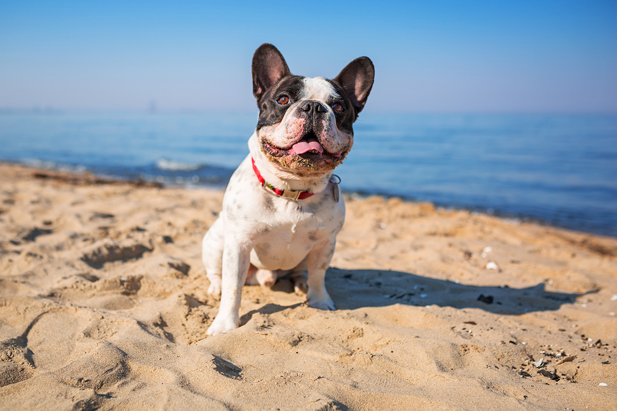 Summer safety on beaches