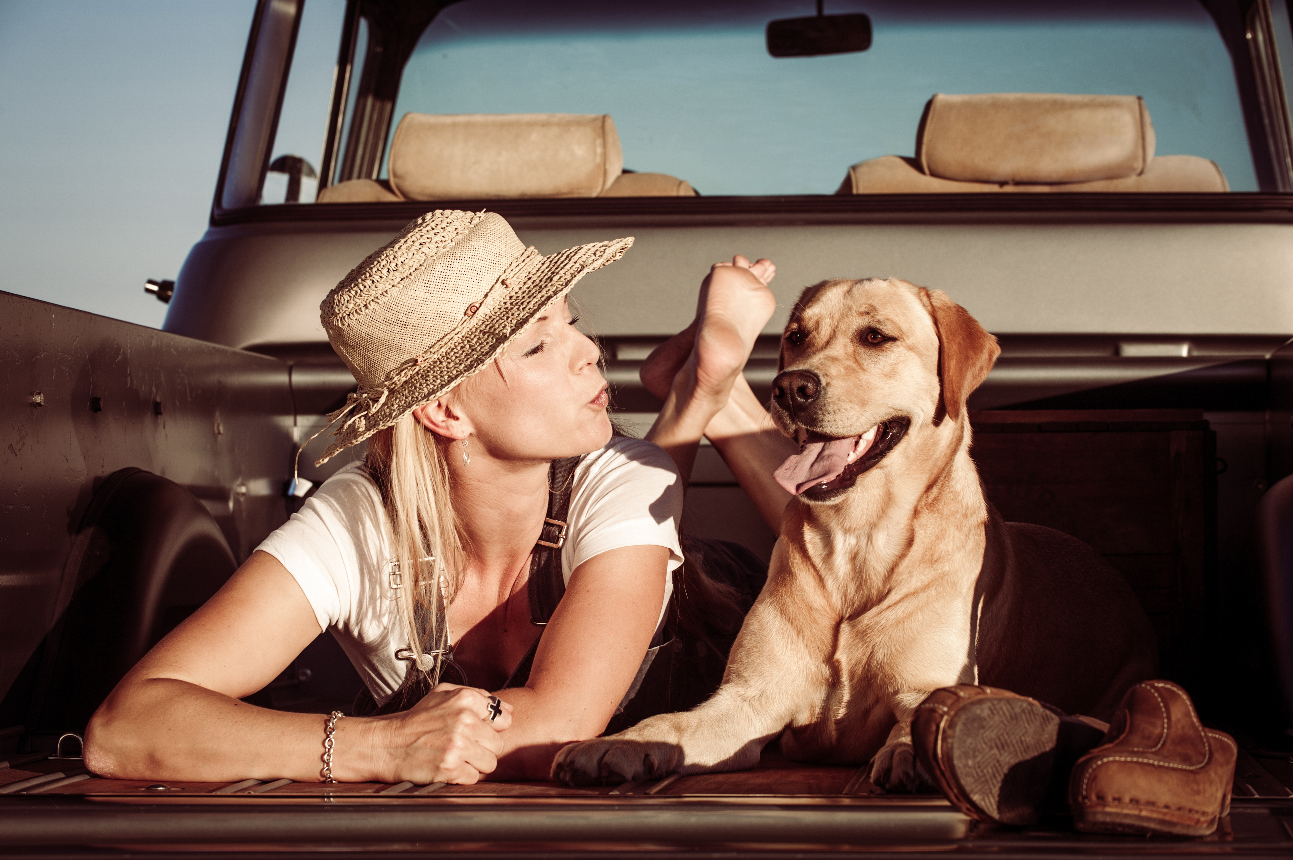 Petsecure - Tips for Travelling With Your Pet This Easter