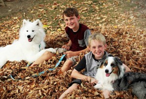 two boys with dogs on leads