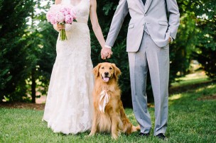 bride and groom with dog