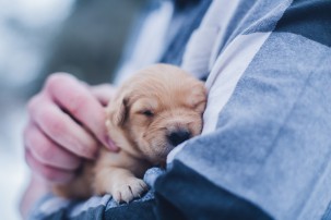 woman holding puppy in her arms