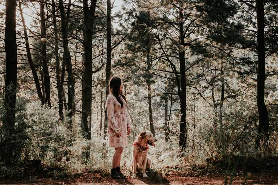 dog owner in woods with dog
