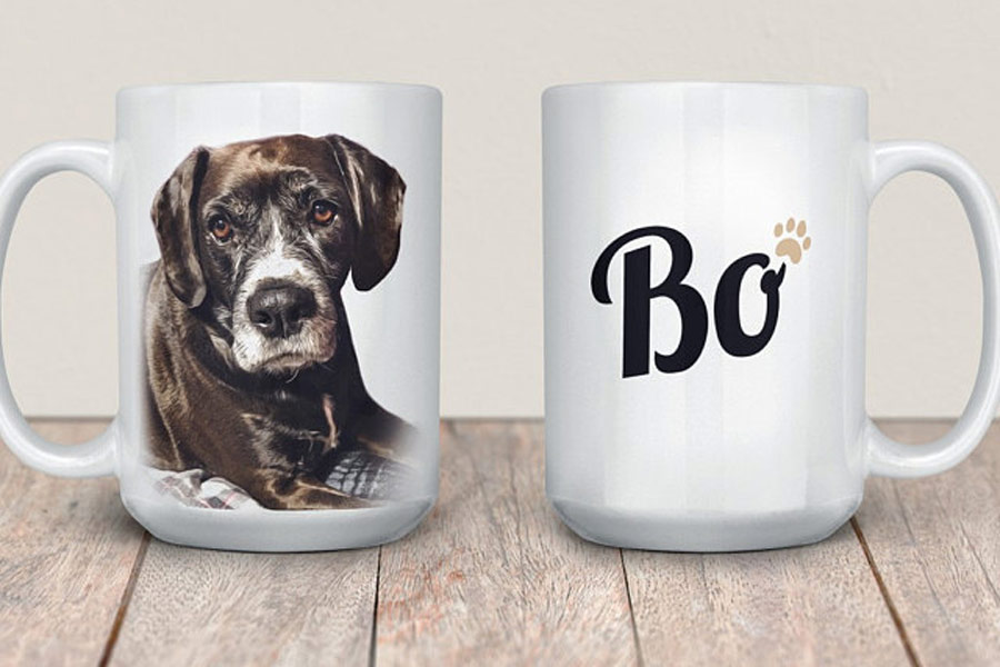 pet portrait mug