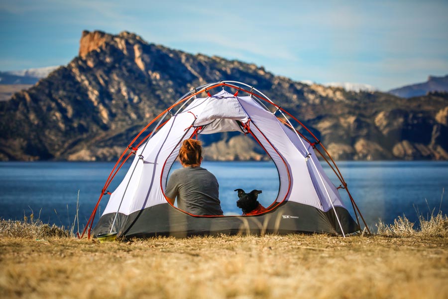 woman camping with her dog