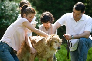 young family with golden retriever, pet health insurance