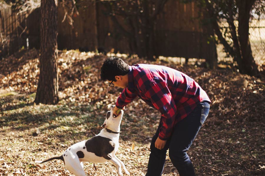 man playing with dog outdoors