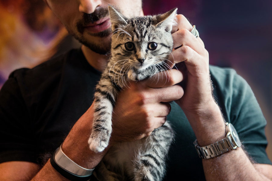 man patting cat