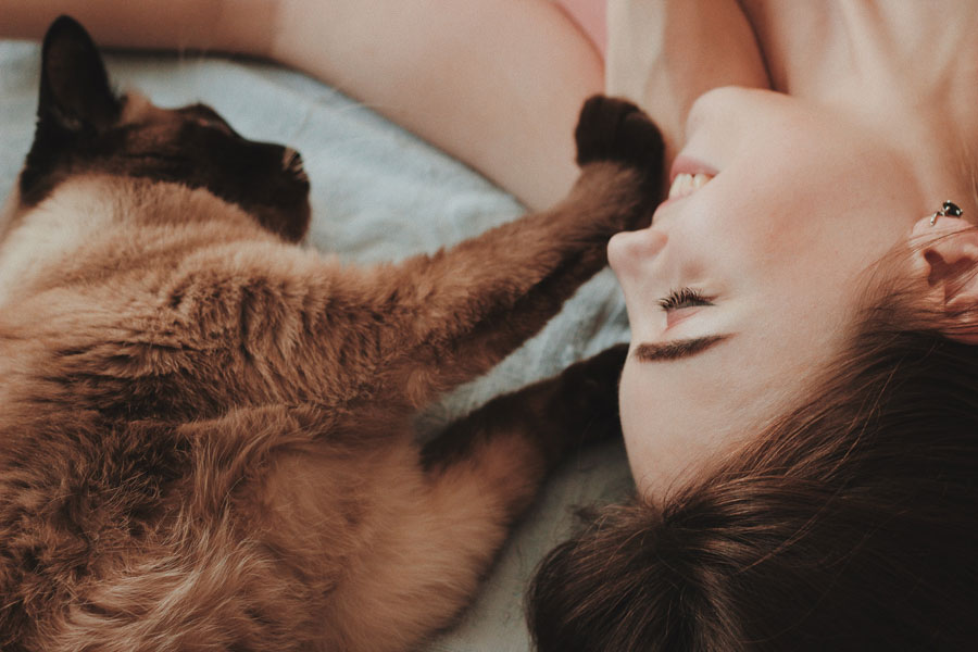 cat and woman lying on bed, happy, healthy cat