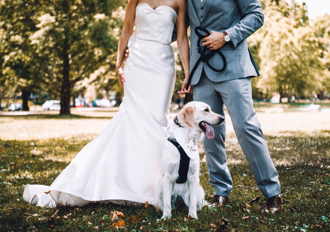 bride and groom with dog, include your dog in your wedding