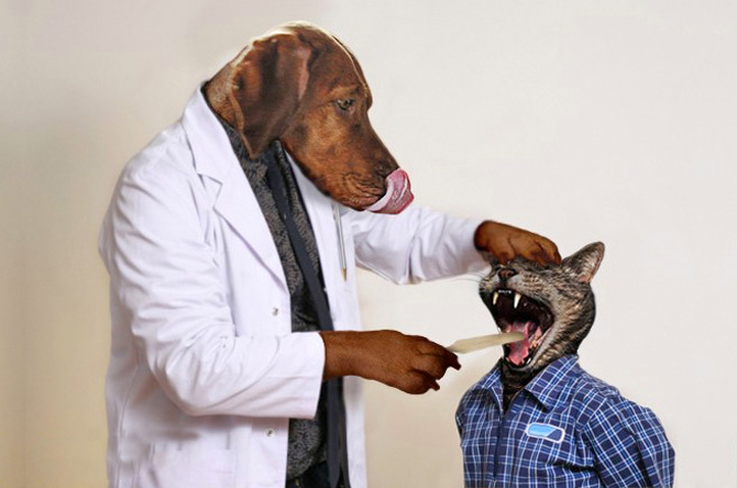 Dog wearing doctor's coat, health benefits, owning a pet