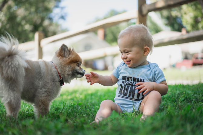 dog and baby, introducing your pet to your new baby, kids and pets