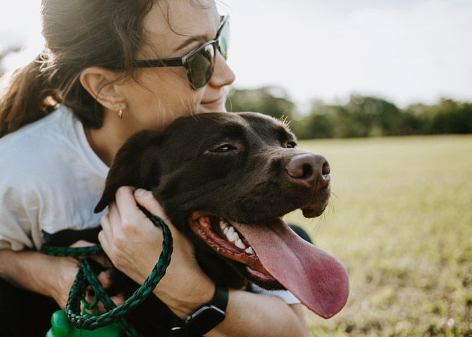 Brown labrador with owner, pet parenting mistakes to avoid